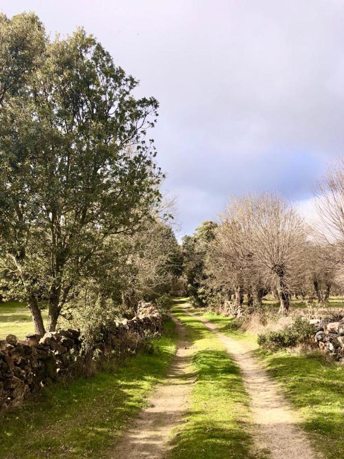 Hébergement de vacances El Pajar De Abajo - Pedraza -